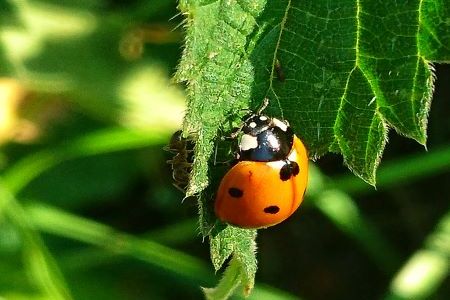 DSC_3078-01 klein.jpeg