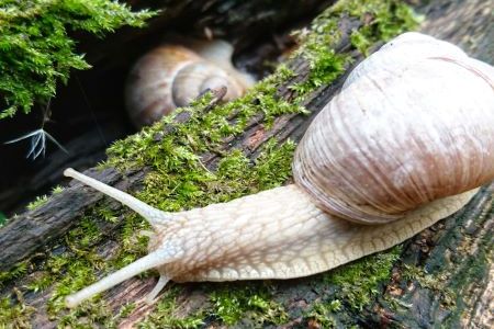 DSC_2679-01 klein.jpeg