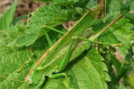 DSC_4015-01 klein.jpeg