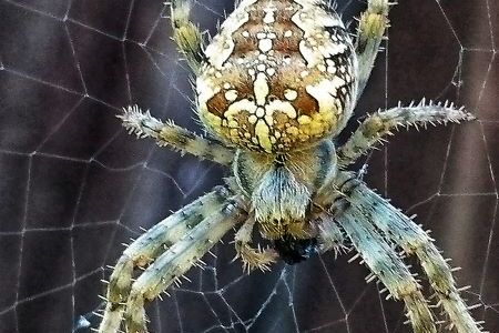 DSC_3965-01 klein.jpeg