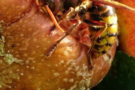 DSC_3973-01 klein.jpeg