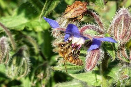 DSC_4444-01 klein.jpeg