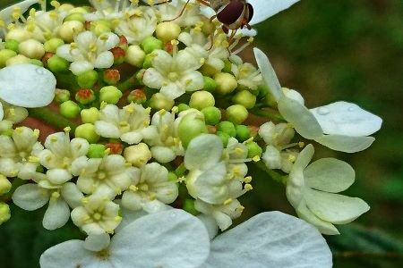 DSC_3865-01 klein.jpeg