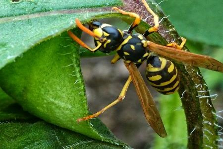 DSC_4145-01 klein.jpeg