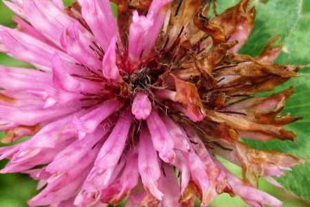 DSC_4307-01 klein.jpeg