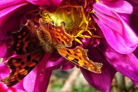 DSC_4454-01 klein.jpeg