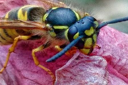 DSC_3837-01 klein.jpeg